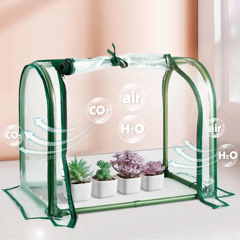 Mini Indoor Greenhouse