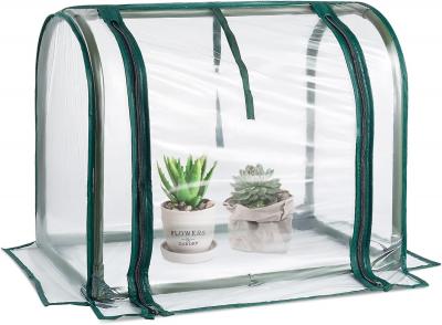 Mini Indoor Greenhouse
