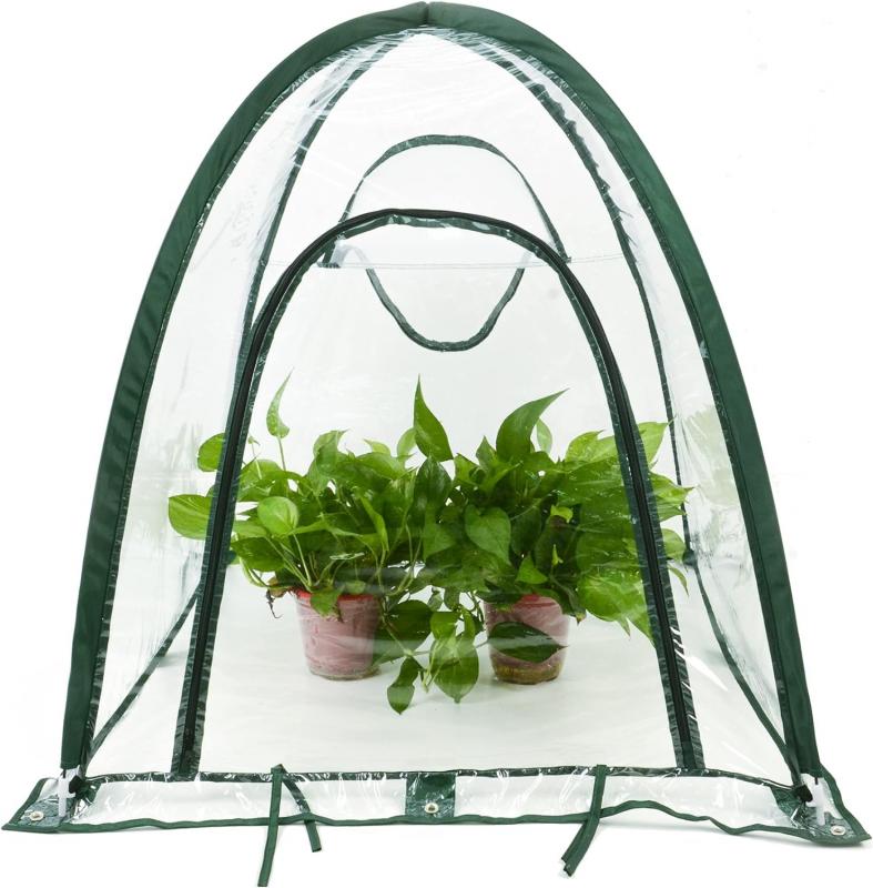 Greenhouse Cover